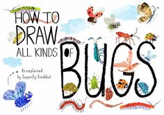 the title for how to draw all kinds of bugs