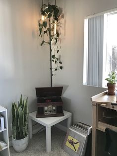 a living room with a plant and record player on the table in front of it