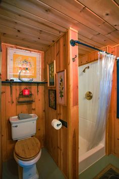 a bathroom with a toilet and shower in it