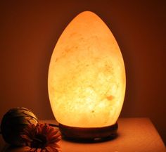 an egg shaped lamp sitting on top of a table next to a flower