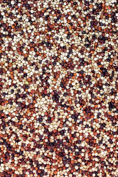 the ground is covered with lots of different colored grains and seeds, all over it