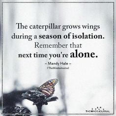 the caterpillar grows wings during a season of isolation remember that next time you're alone