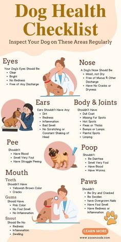 a poster with the words dog health checklist on it