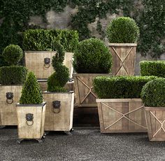 several wooden boxes with topiary plants in them