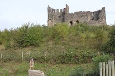 a dog standing on top of a rock in front of an old castle like structure