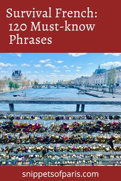 a bridge with padlocks on it and the words survival french 120 must - know phrases