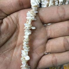 High-quality Natural White Keshi pearls, Freshwater pearl loose Chips 8-10mm top-drilled, organic shaped pearl,.Keshi pearls loseName: Natural Freshwater Pearl/ White Keshi pearlsPearl Size : 8-10mmColour: WhiteShape: Free-form; potato chipQuality: AAAFinish: Smooth ShinyWeight: Approx 55gm in Single Strand White Shell-shaped Pearl Drop Necklace, White Pearl Shell With Pearl Pendant, Pearl White Shell Pearl Drop Necklace, Pearl White Shell-shaped Necklace With Pearl Drop, Pearl White Shell Necklace With Pearl Drop, Pearl White Necklace With Round Natural Stones, Mother Of Pearl Necklace With Natural Stone Round Beads, Mother Of Pearl Necklace With Natural Stones, White Shell Pearl Drop Necklace