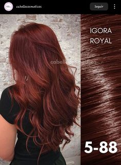 Colorado Pelo, Deep Autumn Hair Color, Pelo Colorado, Igora Hair Color, Cherry Hair Colors, Black Hair Balayage, Cabello Hair