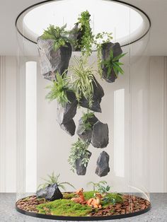 an indoor garden with rocks and plants hanging from the ceiling