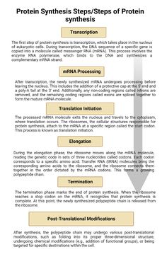 Protein Synthesis (Translation)- Definition, Steps, Sites, Machinery Translation In Prokaryotes, Protein Synthesis Poster, Protein Synthesis Diagram, Protein Synthesis Notes, Igcse Biology, Neet Notes, Molecular Genetics, Biology Worksheet