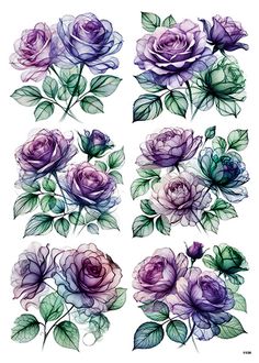 watercolor roses with green leaves and purple flowers on white background, set of four images