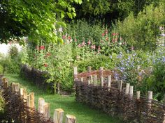 a garden filled with lots of different types of flowers and plants next to each other