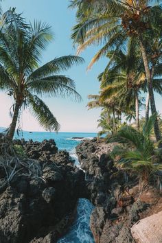 palm trees line the shore of a rocky beach with waves coming in from the ocean