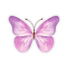 a pink butterfly with purple wings on it's back and the top part of its wing