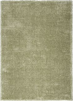 an area rug with a green color and white border on the bottom half of it