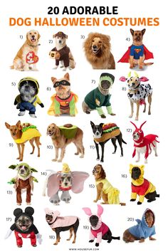 dogs dressed up in costumes for halloween and the words, 20 adorable dog halloween costumes