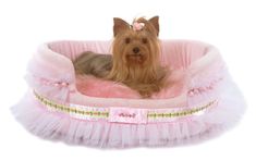 a small dog sitting in a pink pet bed