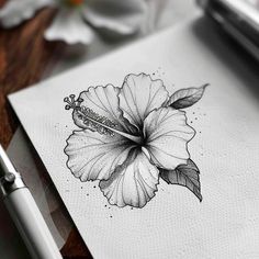 Modern Hibiscus Tattoo Sketches Hibiscus Flower Tattoos Back, Roses And Hibiscus Tattoo, Black And Grey Hibiscus Tattoo, Hibiscus Tattoo Drawing, Floral Tattoo Band, Underwater Flowers Tattoo, Thespesia Grandiflora Tattoo, Caribbean Tattoo Ideas For Women, Afro Centric Tattoo