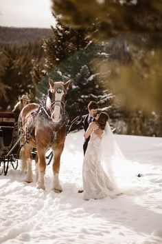 a bride and groom are standing in the snow with their horse drawn sleigh