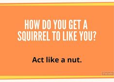 an orange square with the words how do you get a squirrel to like you?