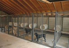 (paid link) Dog Carriers & Crates Dog Kennel Shed, Dog Kennel Inside, Kennel Design, Luxury Dog Kennels