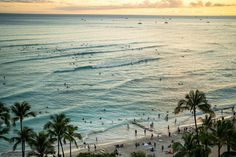 many people are swimming in the ocean near palm trees and surfboards on the beach