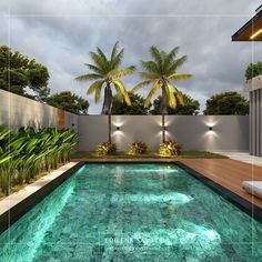 an outdoor swimming pool surrounded by palm trees and greenery, with lights on either side