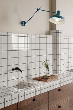 a kitchen with two sinks and a green plant on the counter top in front of it