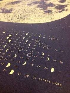 a close up of the moon and stars on a black surface with gold lettering that reads little lark