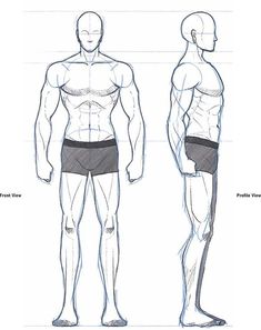 an image of a man's torso and lower body with the muscles drawn out