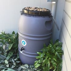 a large gray barrel sitting next to some plants