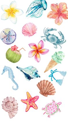 watercolor drawing of sea animals and seashells