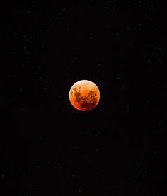 the blood moon is seen in the dark sky