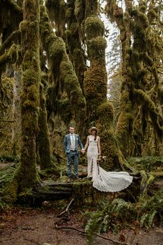 a bride and groom are standing in the middle of mossy trees, holding hands