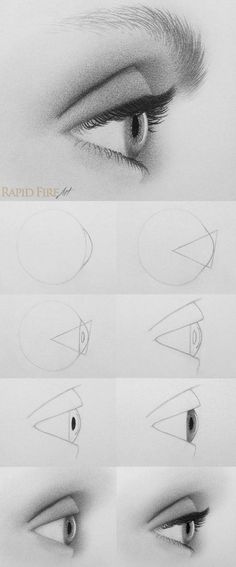 four different views of an eye with various shapes and sizes, including the iris's eyes