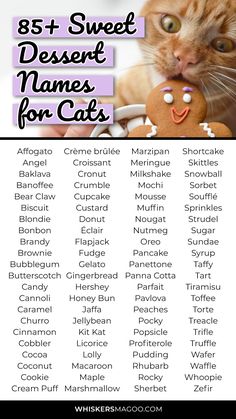 an orange cat is eating a cookie with the words, 85 sweet dessert names for cats