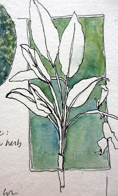 a watercolor drawing of a plant with words written on it and an image of a tree in the background