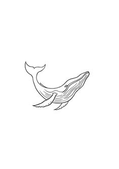 a black and white drawing of a whale