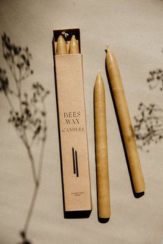 two candles in a cardboard box next to a plant and paper package with writing on it