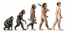 an image of the evolution of man with different body shapes and sizes, including monkeys