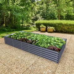 an outdoor garden filled with lots of green plants