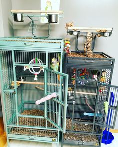 two cages filled with birds inside of them