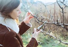 a woman is picking berries from a tree in the winter, while wearing a brown coat