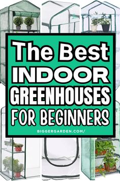 Discover the best indoor greenhouse ideas for decorating a greenhouse and enhancing your greenhouse interior design. From cute greenhouse ideas to small greenhouse shelving ideas, explore ways to create a cozy layout with greenhouse furniture and small backyard greenhouse solutions.