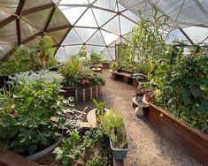 the inside of a large greenhouse with lots of plants and flowers in pots on the ground