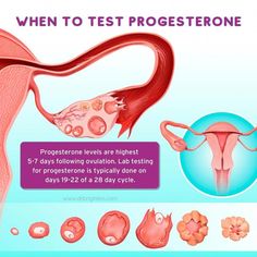 Hormone testing for women needs to be done at a certain time during the cycle to be accurate. Learn when is the best time to test hormone levels. Women Needs, Follicle Stimulating Hormone, Thyroid Test, Hormonal Birth Control, Progesterone Levels, Balance Hormones Naturally, Hormone Balance, Thyroid Function