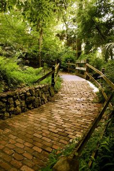 a brick path in the middle of a lush green forest