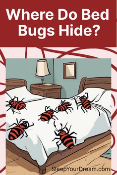 a bed with four bugs on it and the words where do bed bugs hide?