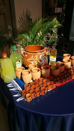 a table topped with lots of potted plants and vases next to each other