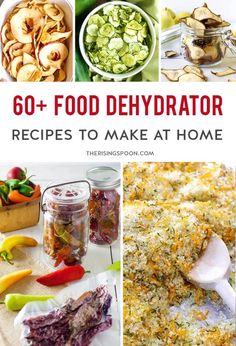 the cover of 60 + food dehydraator recipes to make at home, including broccoli and other vegetables